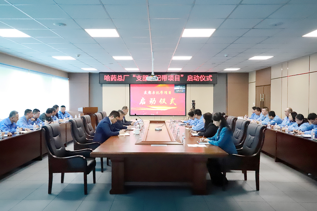 党建领航&ldquo;加速度&rdquo; 打造发展&ldquo;强引擎&rdquo;&mdash;&mdash;PG电子官网总厂党委召开&ldquo;支部书记带项目&rdquo;启动仪式