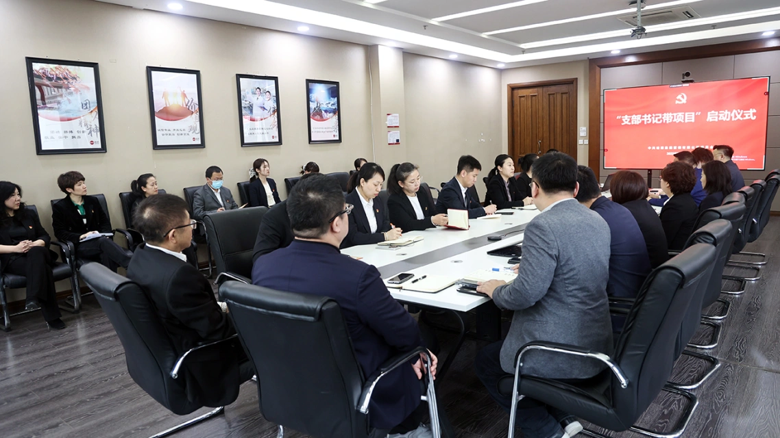 党徽闪耀 头雁领航&mdash;&mdash;PG电子官网营销召开"支部书记带项目"启动仪式